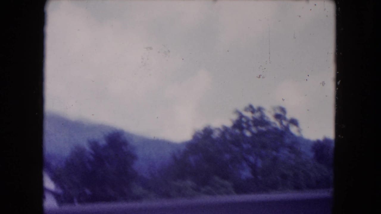 Blurred roadside trees and distant hills under a pale sky.