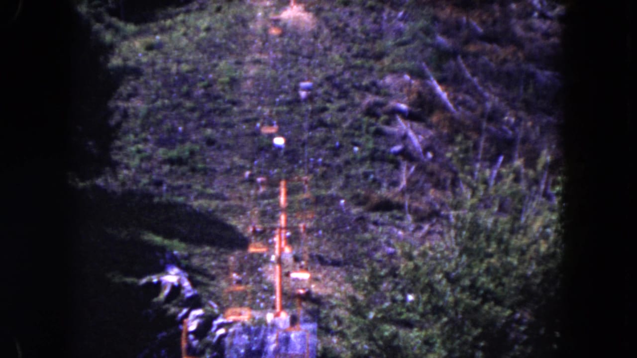 Forested slope with an orange lift tower and cable line seen through dark film edges.