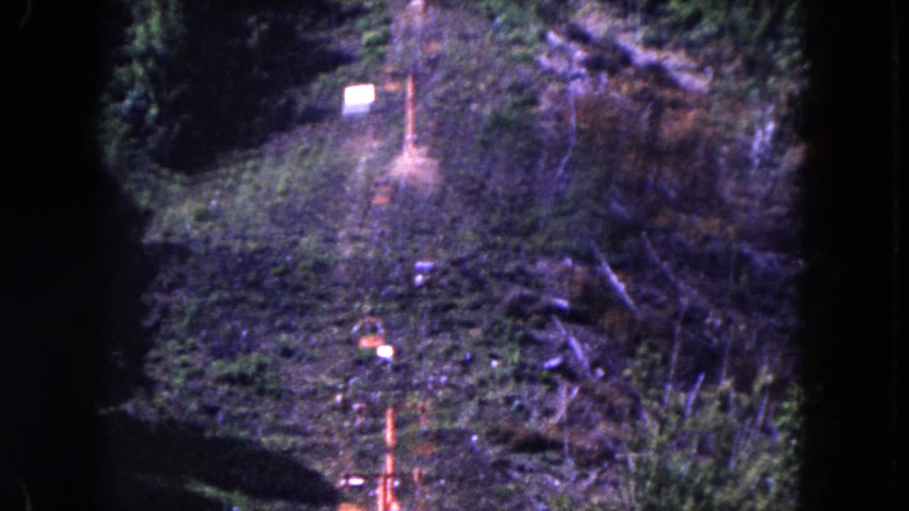 Lift line on a green hillside with orange poles, cables, and small pale markers.