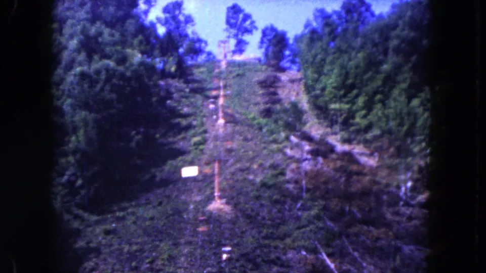 1960 Miami 8mm frame looking uphill at a wooded slope with a narrow dirt track, wooden pole, small sign, and pale sky.