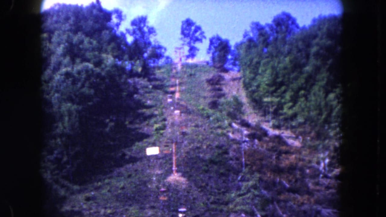 Uphill view of trees, dirt track, small sign, pole, and washed-out sky.