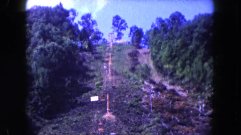 1960 Miami 8mm frame showing a green hillside, rough upward path, dense trees, small sign, and blue-purple color cast.