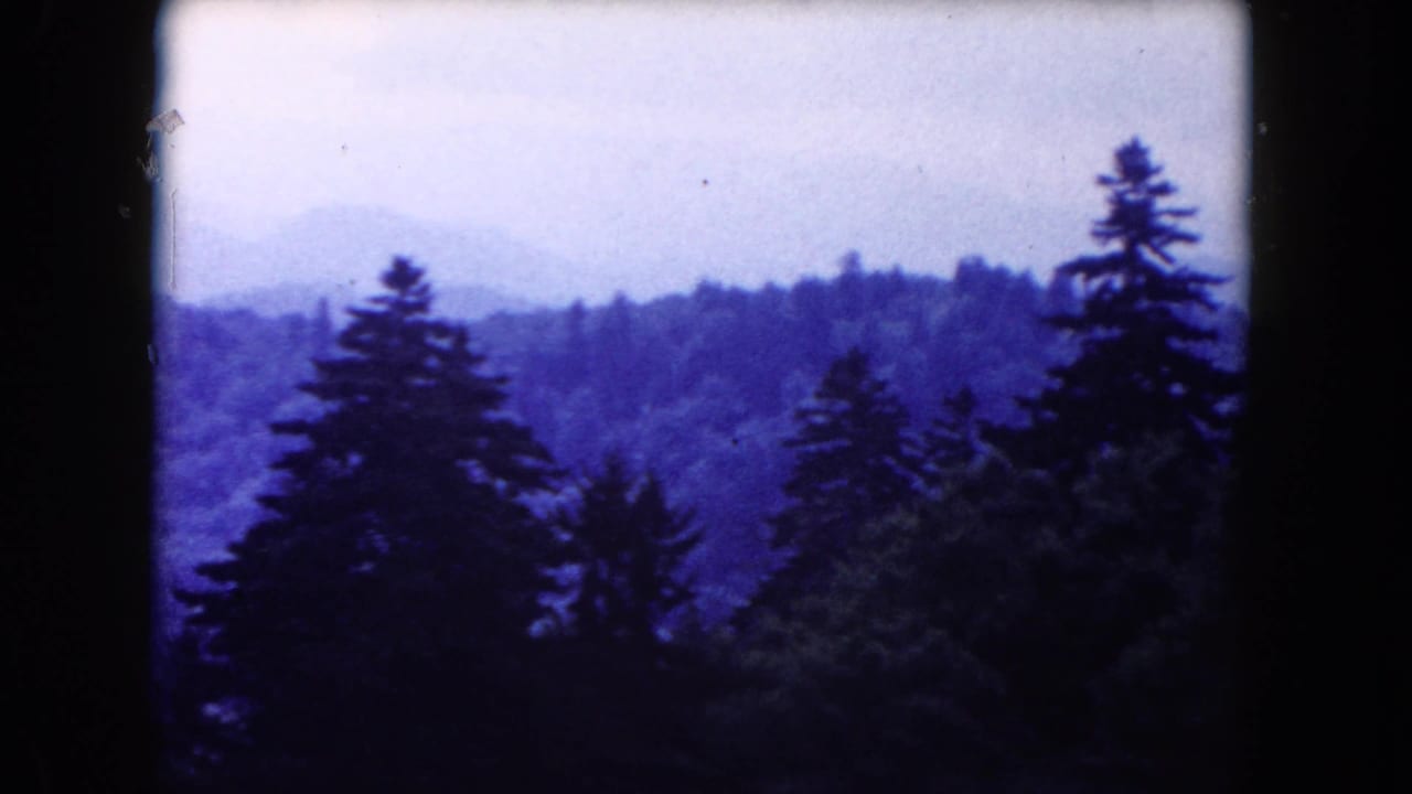 Distant hazy ridges with dark evergreen trees in the foreground.