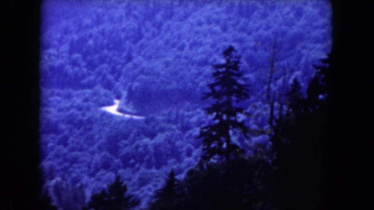 Forested valley in strong blue tint with a bright road bend and dark trees along the right edge.