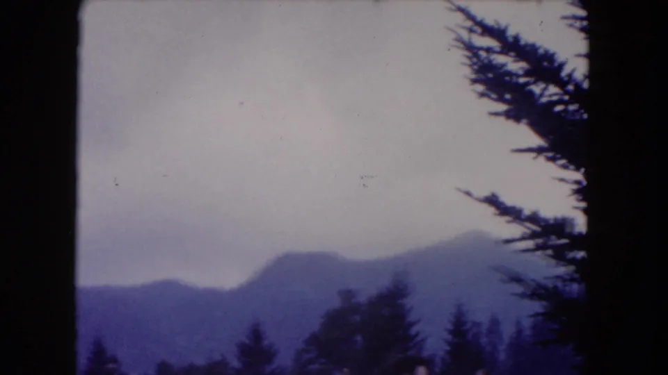 Final 8mm frame with distant mountain silhouettes, overcast sky, dark trees, and a pine branch framing the right side.