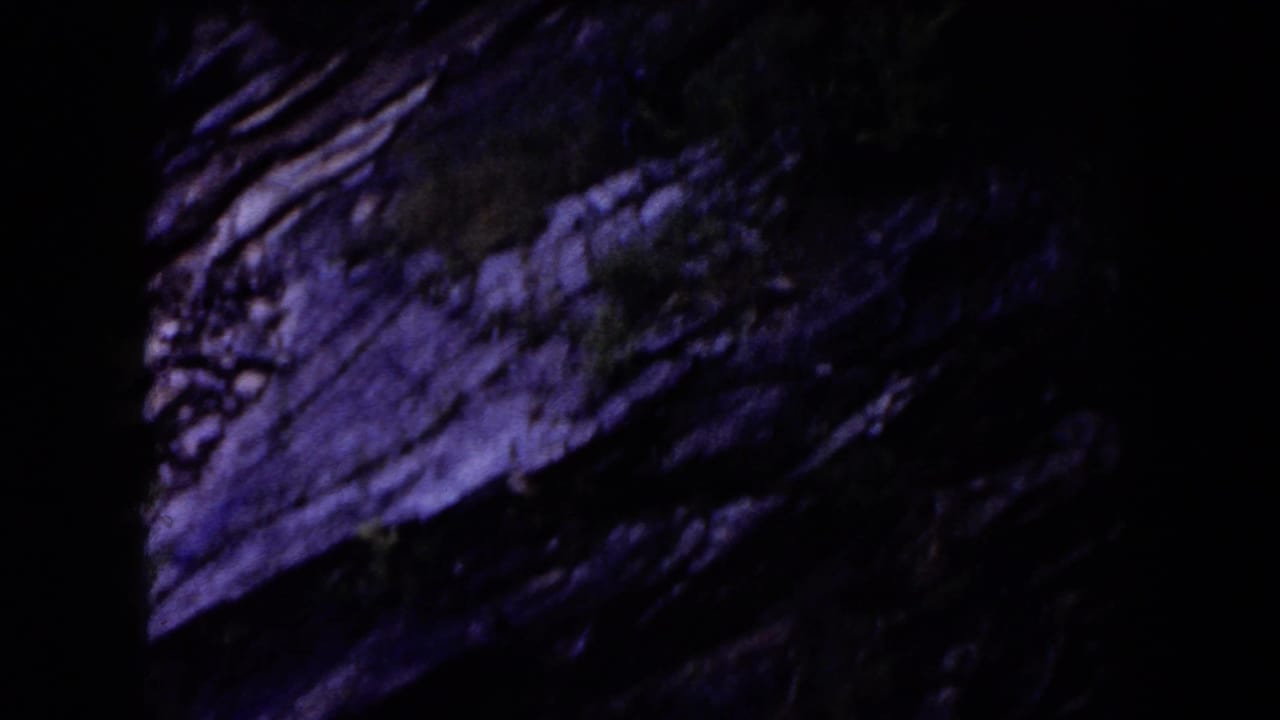 Dark 8mm frame showing a steep rock face with trees along the edge.