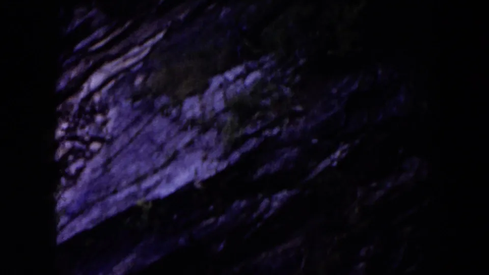 1960s 8mm home-movie frame with a dark, purple-shifted view of layered rock and forest vegetation.