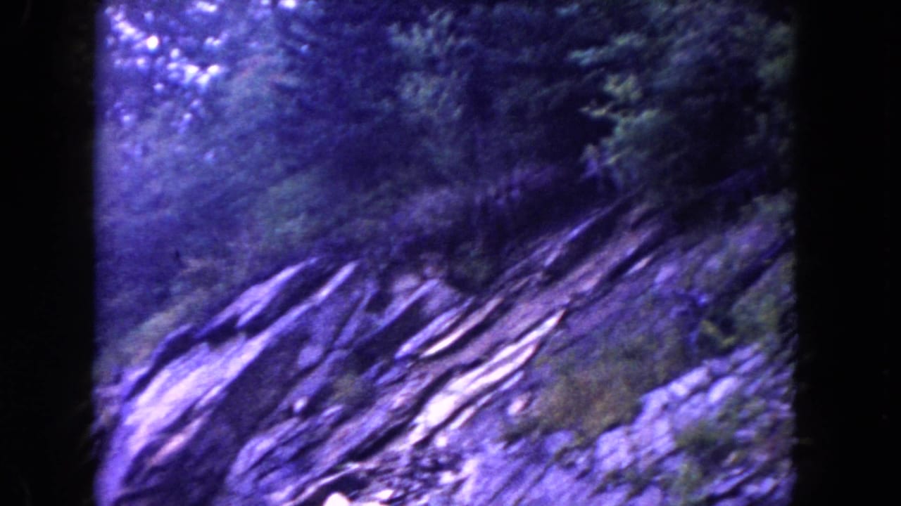 Layered rock slope with dense trees and brush above it.