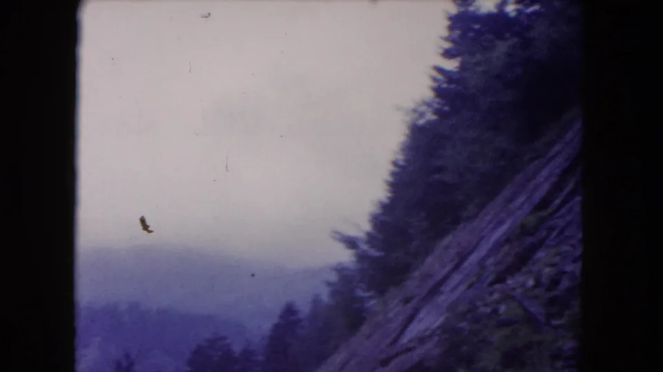 1960 8mm home-movie frame showing a steep forested slope, hazy distant ridges, and a pale overcast sky.