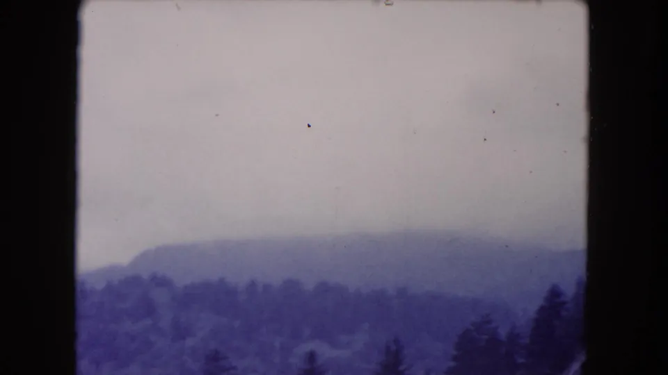 1960 8mm frame of distant tree-covered ridges softened by haze, with dark evergreens framing the side.