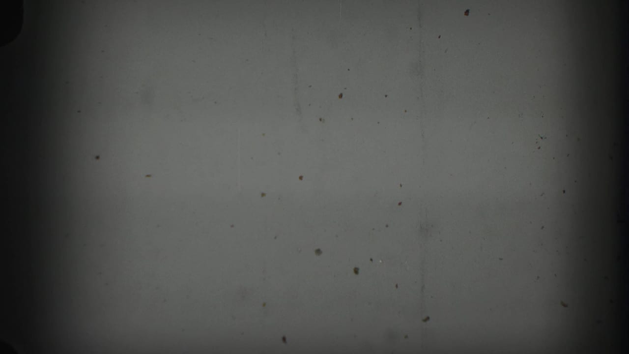 Dim 8mm frame with gray exposure, scattered dust, and dark gate shadows before the Florida holiday title appears.