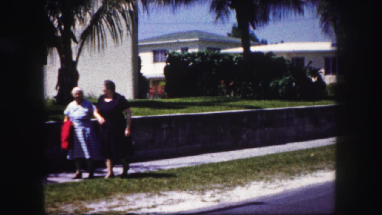 Two older women walk arm in arm beside a lawn and low wall under palm shade.