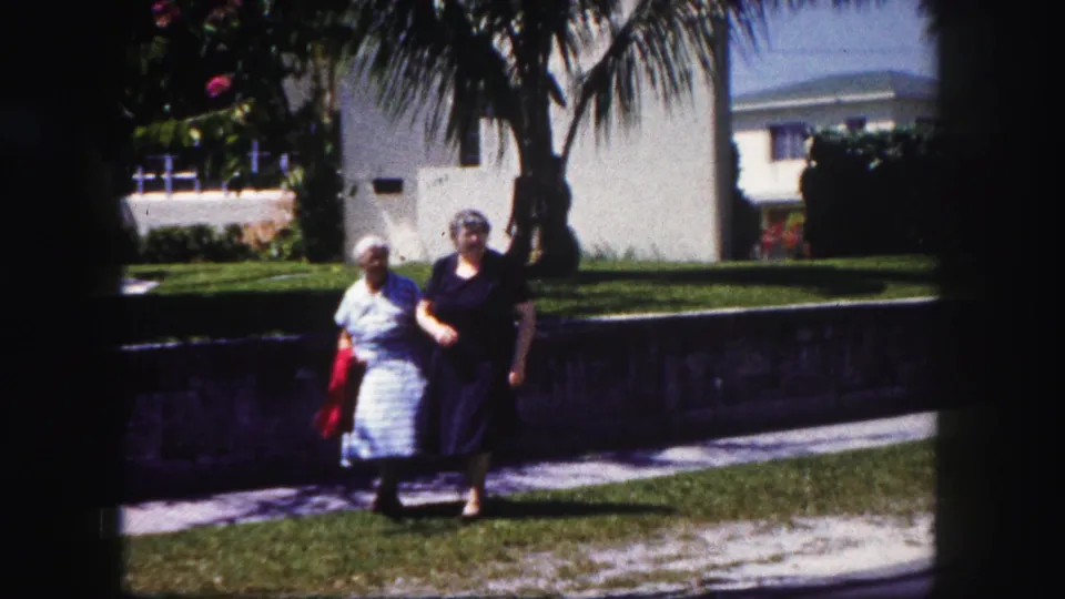 In the 1960 Tampa setting, the women walk nearer the camera, framed by a palm trunk, lawn, low wall, and pale residential buildings.