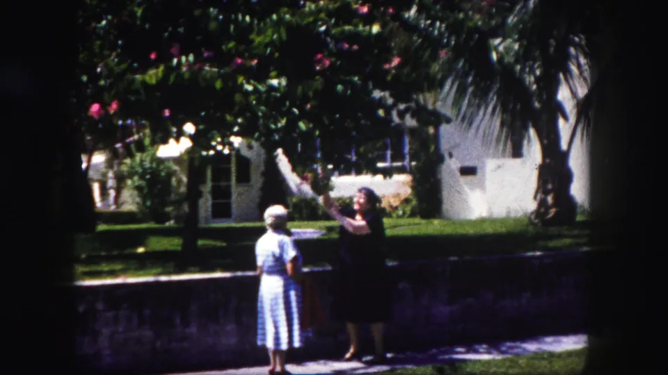 In the Tampa garden scene, one woman points toward blossoms above while the woman in a striped dress stands nearby.