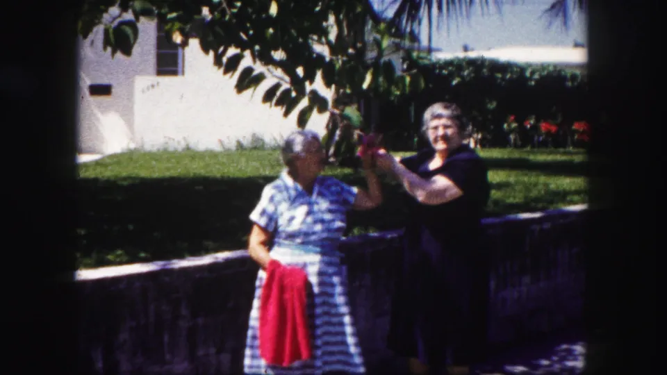 The women remain near the tree in the 1960 Tampa yard, framed by strong sunlight, shadow, grass, and a pale house exterior.
