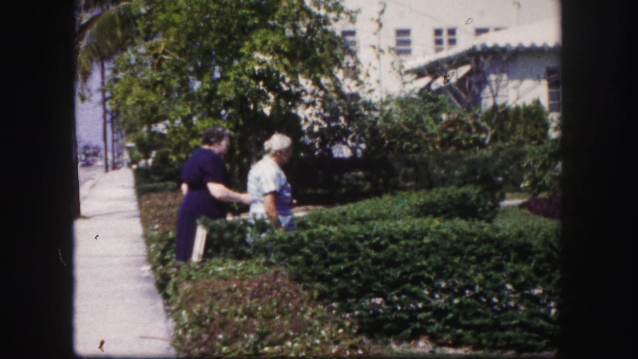 Two older women walk near hedges and a sidewalk in a sunny residential garden.