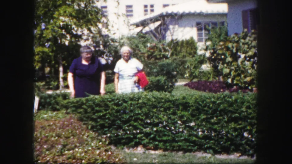 The two older women stand by a trimmed hedge in the supplied 1960 Tampa footage, with one holding a red item near a planted garden.