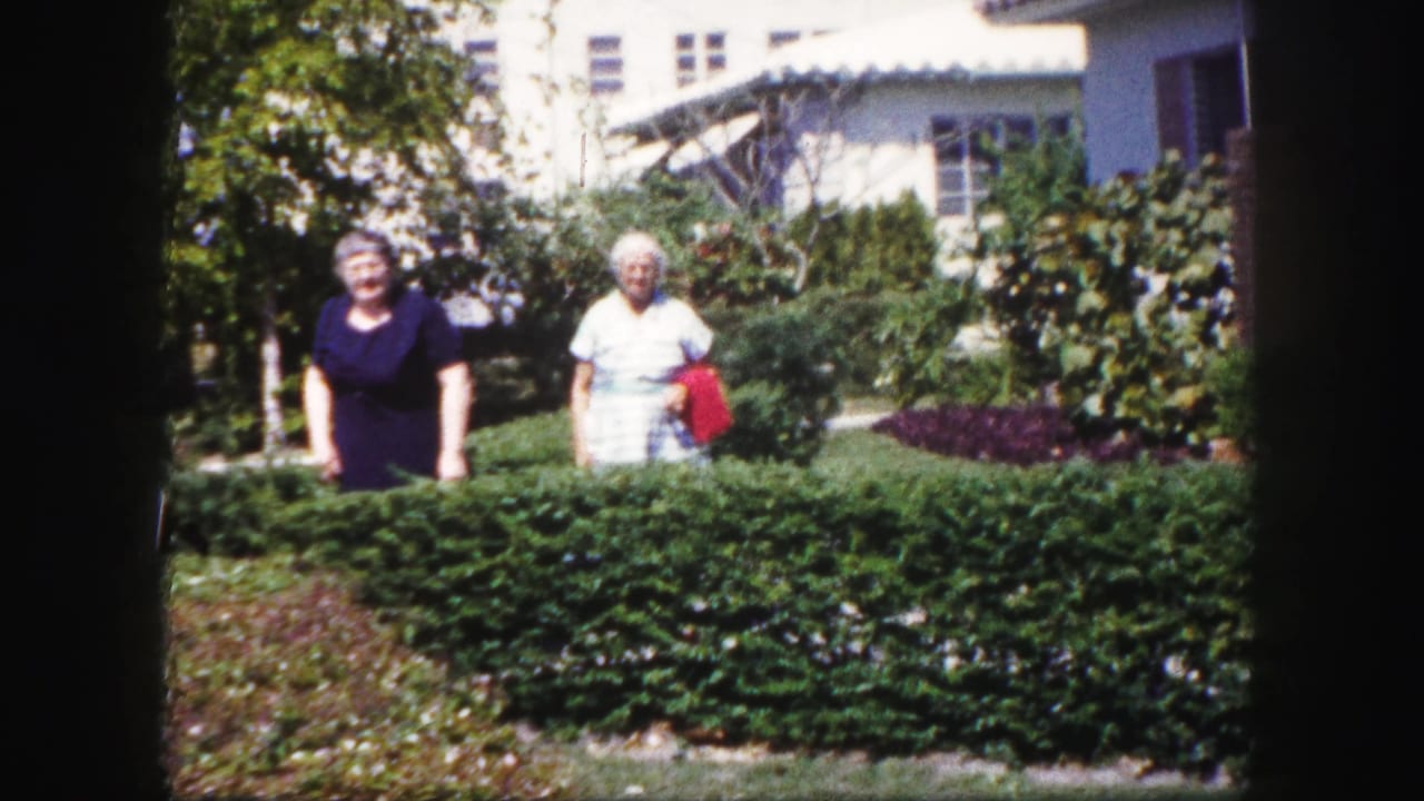 Two women stand behind a hedge in a sunlit garden outside a house.