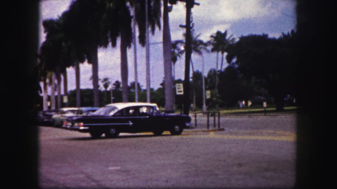 Dark 1950s sedan passing a palm-lined street intersection.