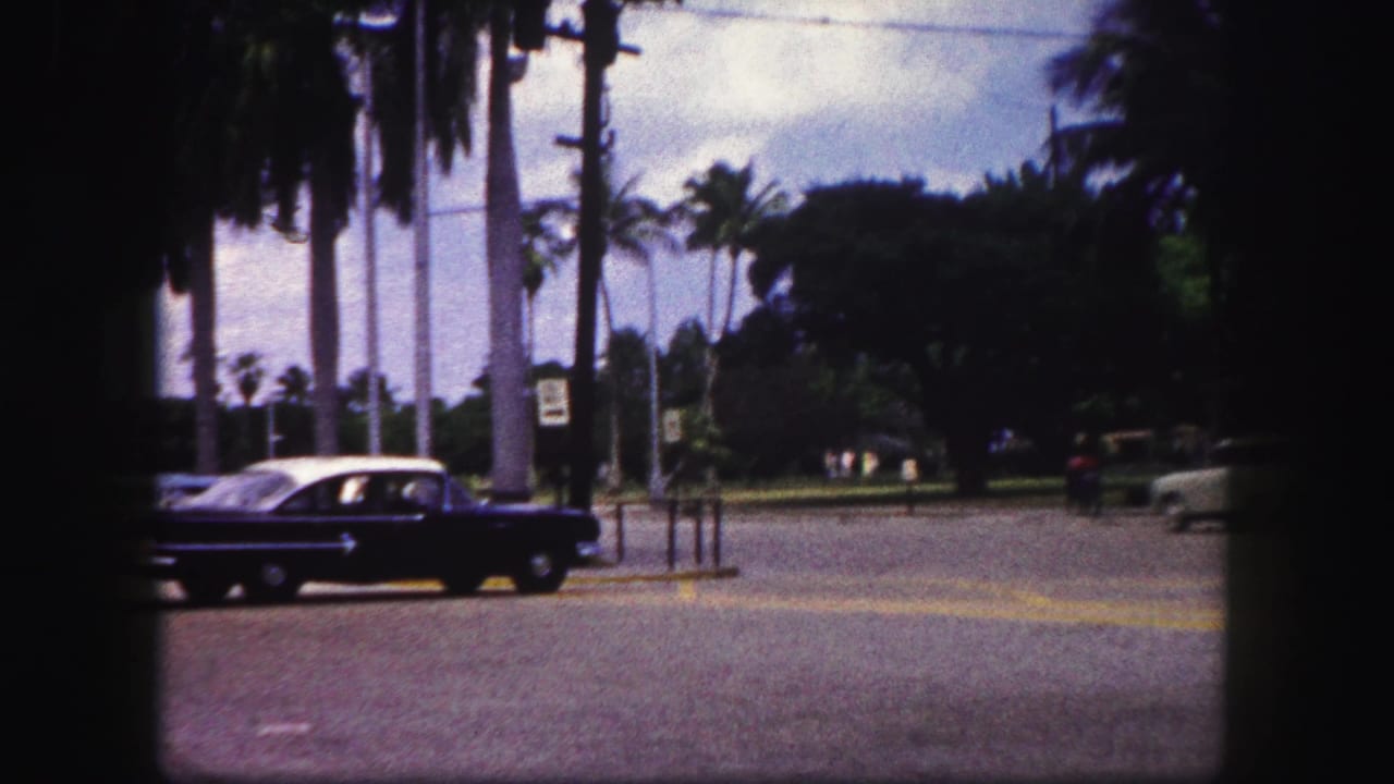 The dark sedan continues across a Tampa intersection, with palms, traffic signs, and a light car entering at right.