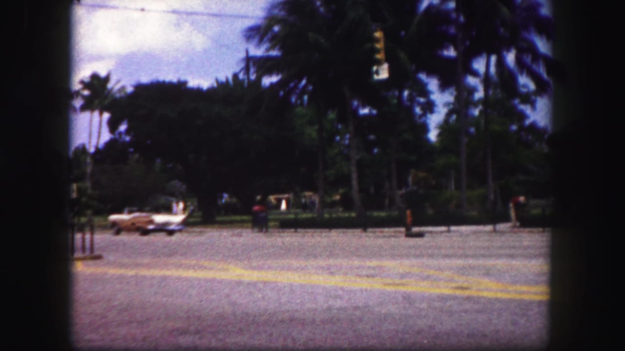 A car passes along a palm-lined road with yellow pavement markings and dark film-frame borders.