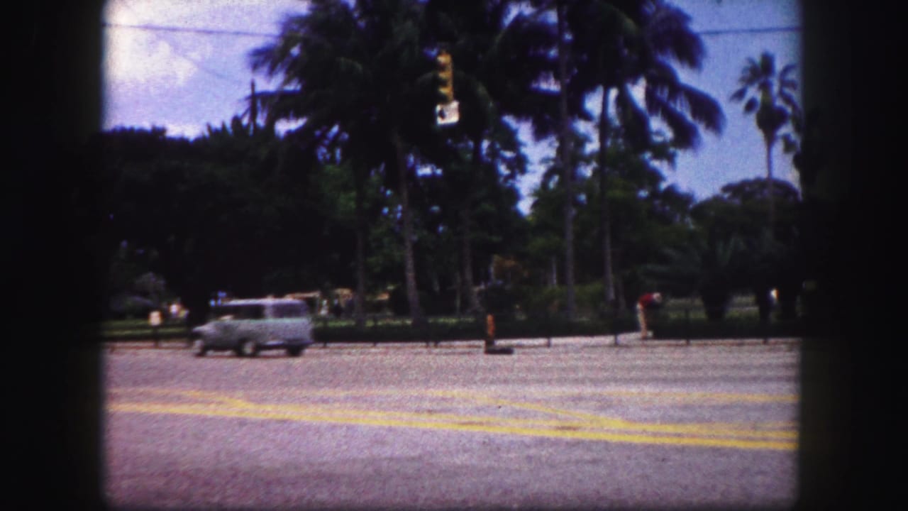 A gray mid-century car crosses the frame on a sunny Tampa road with palms, shrubs, yellow markings, and distant figures near the curb.