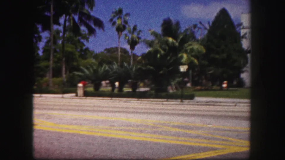 Tampa roadside landscaping with palms, trimmed greenery, a broad paved road, and small distant people in a 1960 8mm street view.