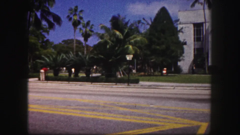 A 1960 Tampa street view shows palm landscaping, a marked roadway, a light-colored building edge, and distant pedestrians near the curb.