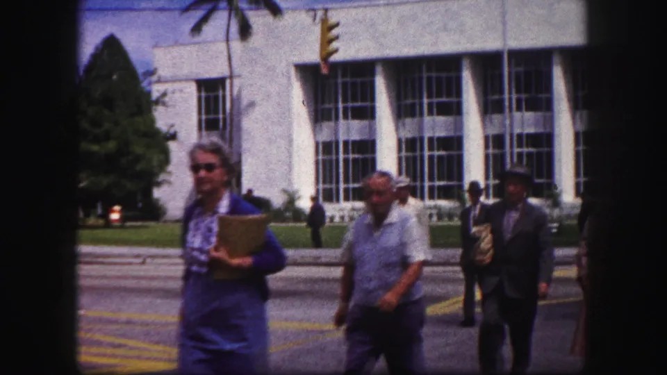 Several adult pedestrians cross a yellow-marked Tampa street, with the white building facade and palm trees behind them.
