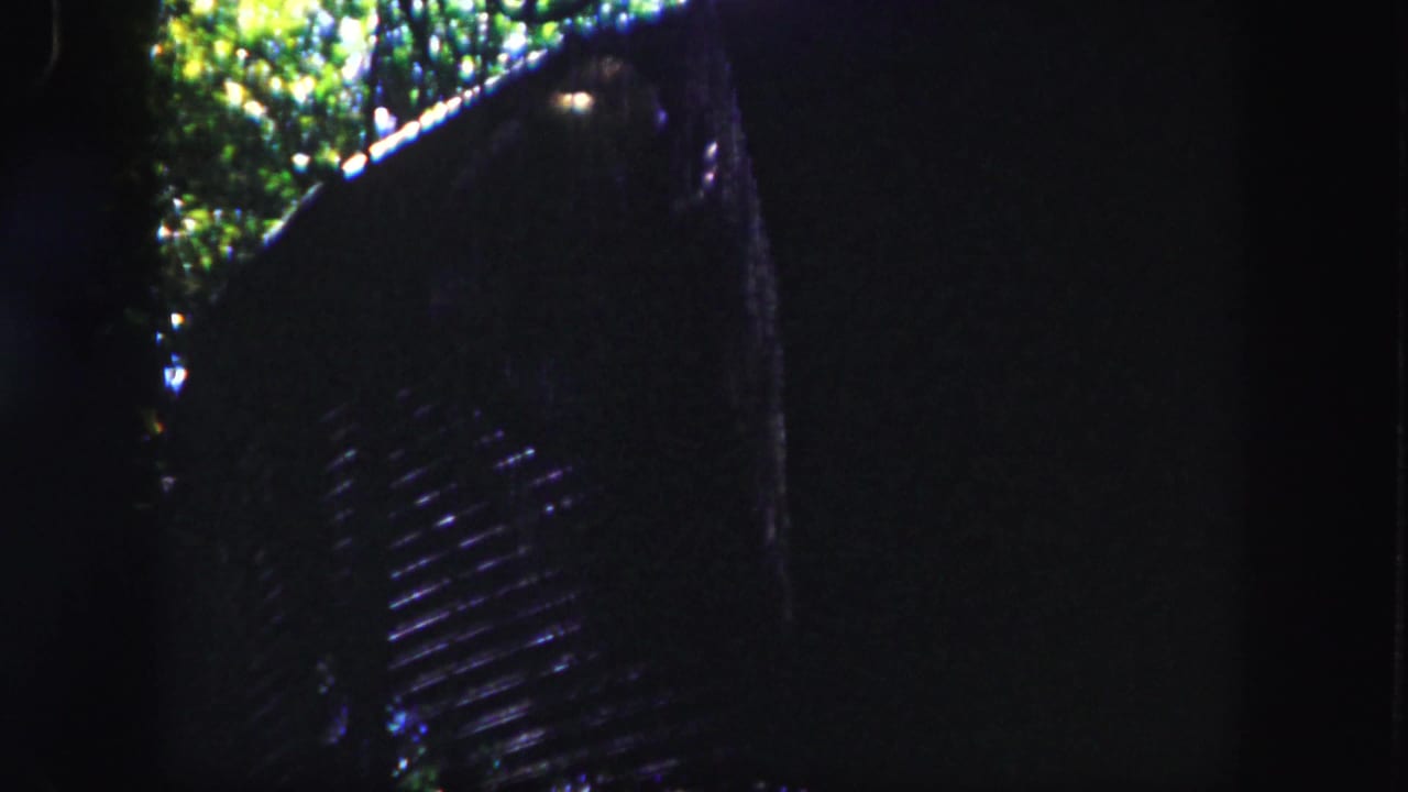 A dark enclosure-like structure with a grid or slatted surface appears beside sunlit foliage in the 1960 Tampa footage.