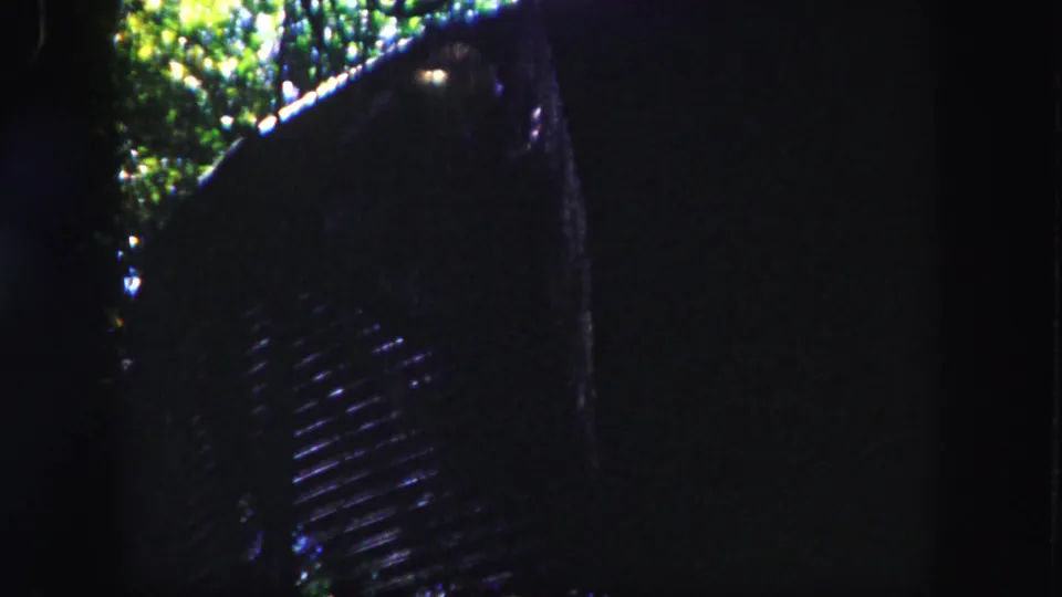 A dark enclosure-like structure with a grid or slatted surface appears beside sunlit foliage in the 1960 Tampa footage.