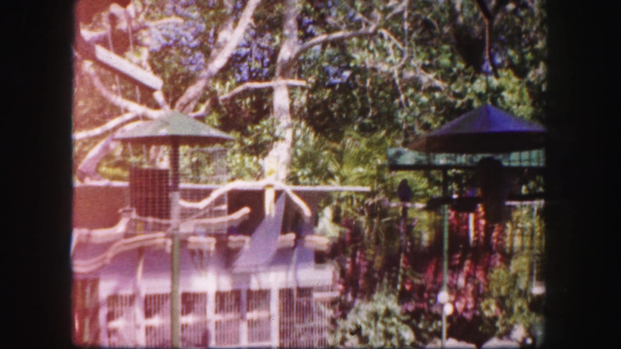 Bird cages with canopy roofs seen through a dark window frame amid dense tropical foliage.