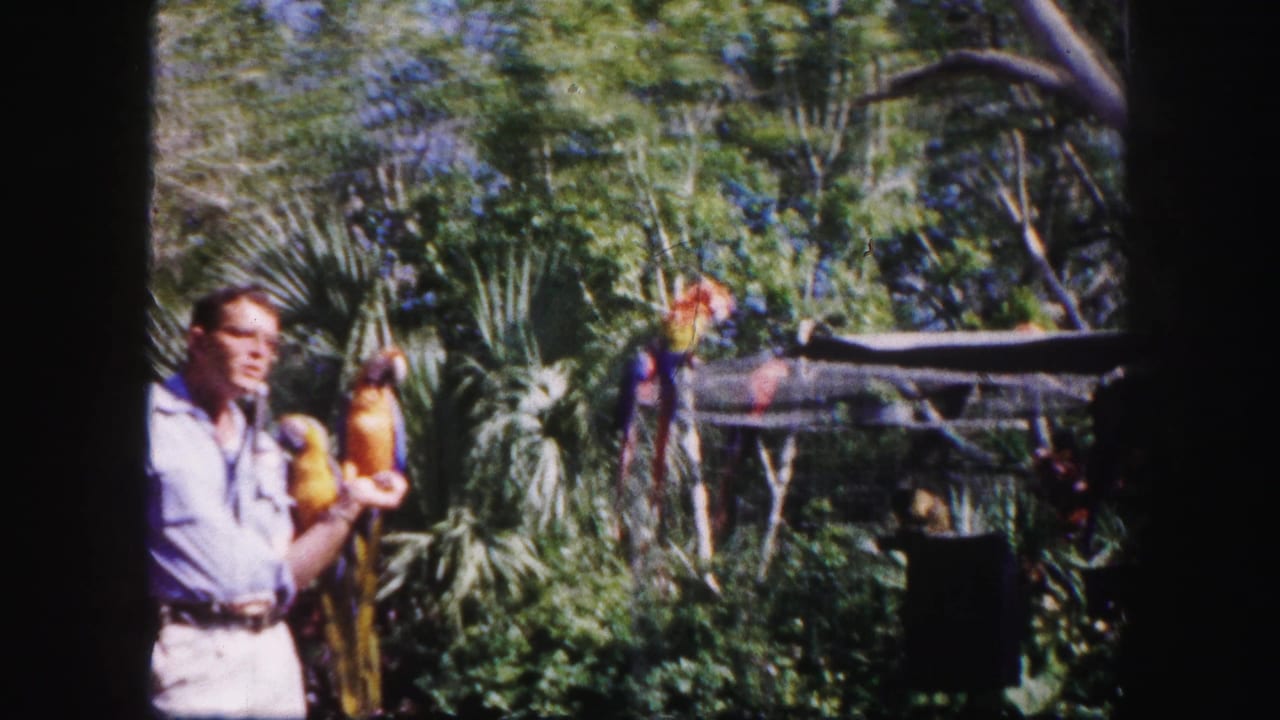 1960 Tampa home-movie frame of a man in glasses holding a red, yellow, and blue macaw amid palms and greenery.