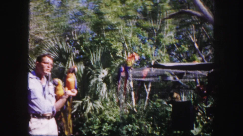 1960 Tampa home-movie frame of a man in glasses holding a red, yellow, and blue macaw amid palms and greenery.