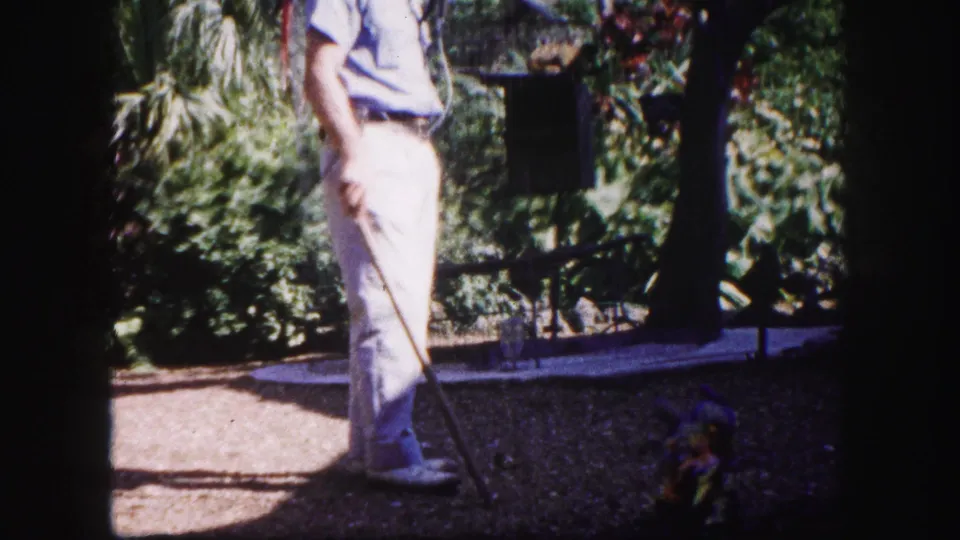 A side view shows the man in the Tampa garden with a long handle or lead, near dark equipment and dense plantings.