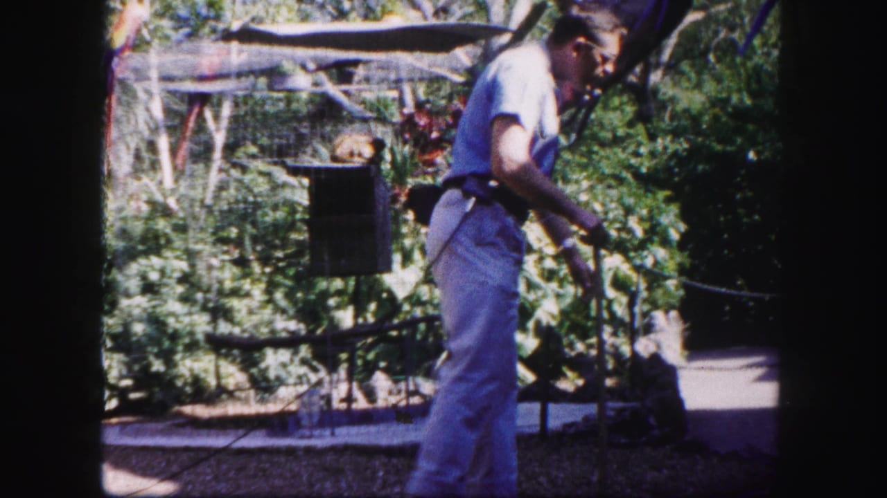 The man stands in a tropical Tampa garden near a cage or perch, appearing to handle a small bird in the home-movie frame.