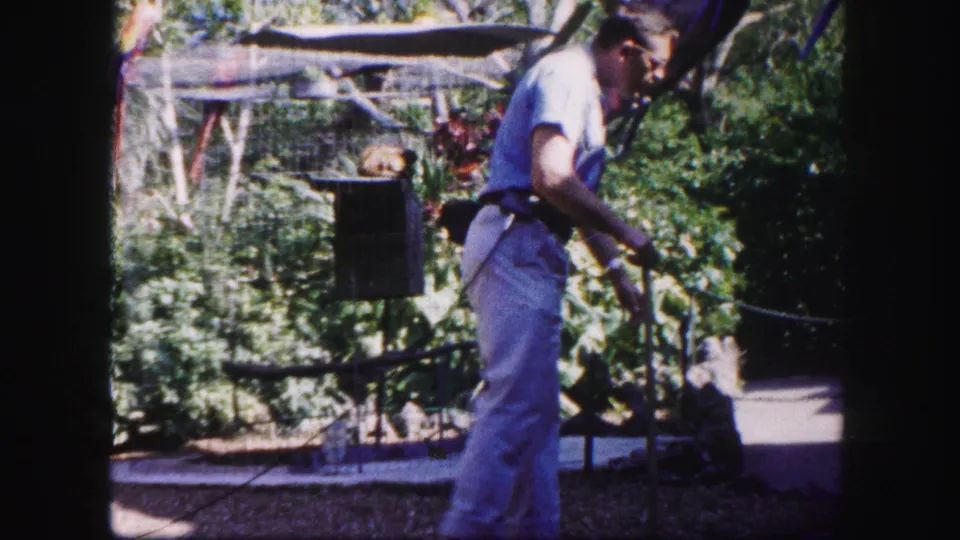 The man stands in a tropical Tampa garden near a cage or perch, appearing to handle a small bird in the home-movie frame.