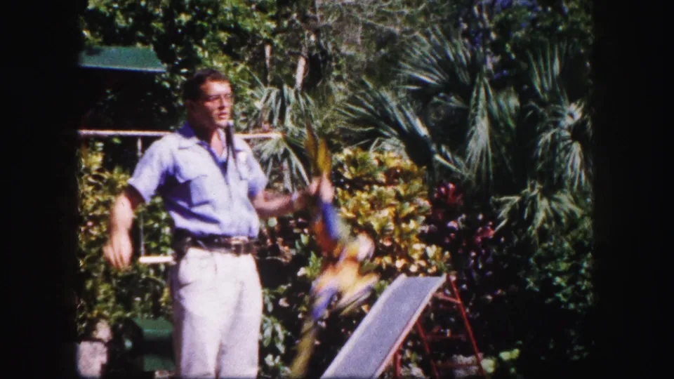 A man in glasses faces the camera in the 1960 Tampa garden footage while a colorful bird appears in motion near him.