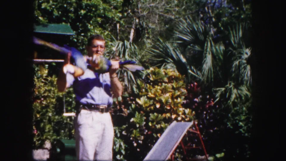 In the 1960 Tampa home-movie frame, the man holds a colorful bird with wings spread against dense tropical foliage.