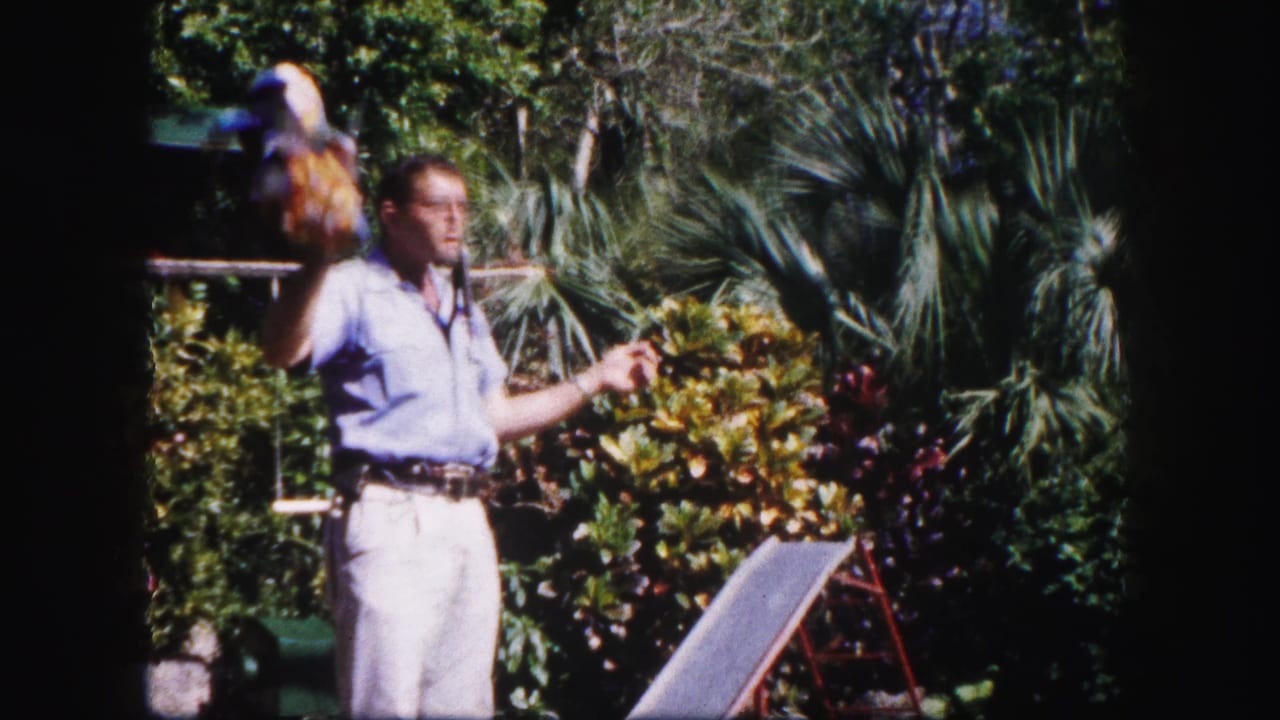 The man raises the bright parrot while standing in a sunlit Tampa garden with palms and shrubs behind him.