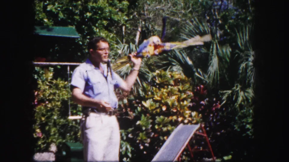 The parrot spreads its wings while the man holds it in the sunlit Tampa garden, with palms and shrubs filling the background.