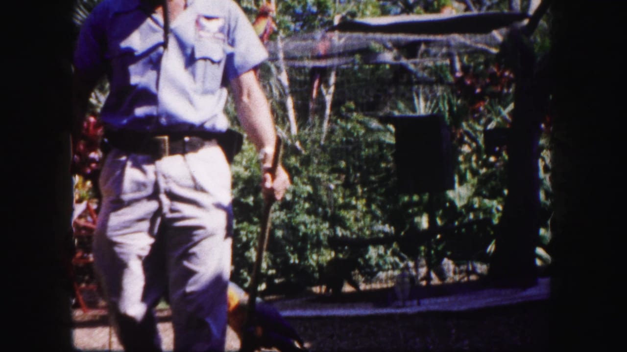 The Tampa garden scene continues with the man partly framed, holding a parrot on a stick near aviary fencing and plants.