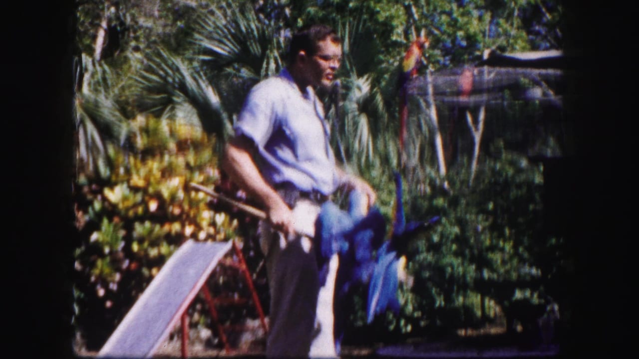 In 1960 Tampa, a zookeeper in a light blue shirt holds a stick while a blue parrot moves near tropical plants.