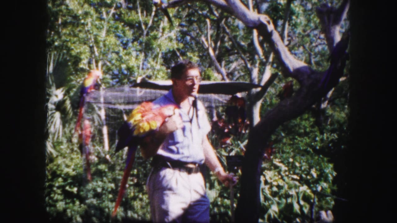 Man walks through a leafy enclosure with a macaw on his arm and parrots nearby.