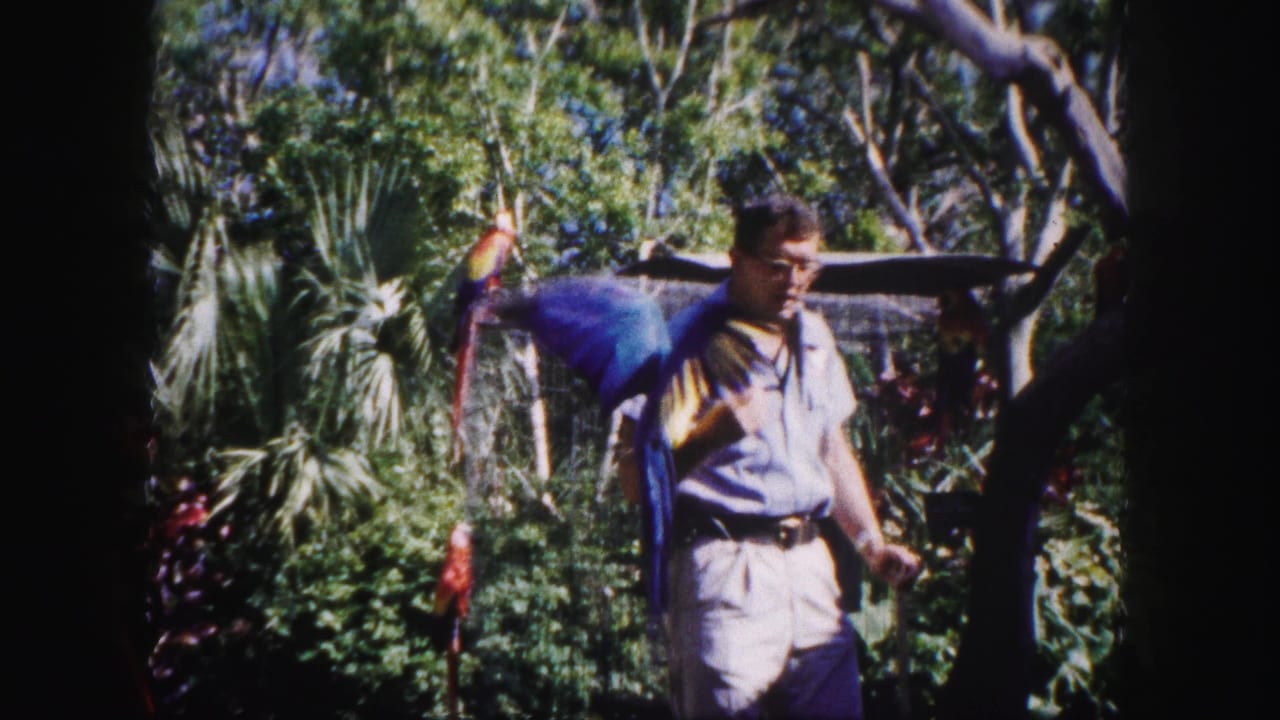 1960 Tampa home-movie frame showing a man with a macaw on his shoulder amid tropical foliage and wire bird enclosures.