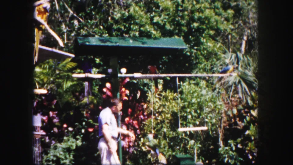 The closing frame shows the man beside the wooden perch with parrots and a blue-and-yellow macaw in the dense Tampa garden setting.