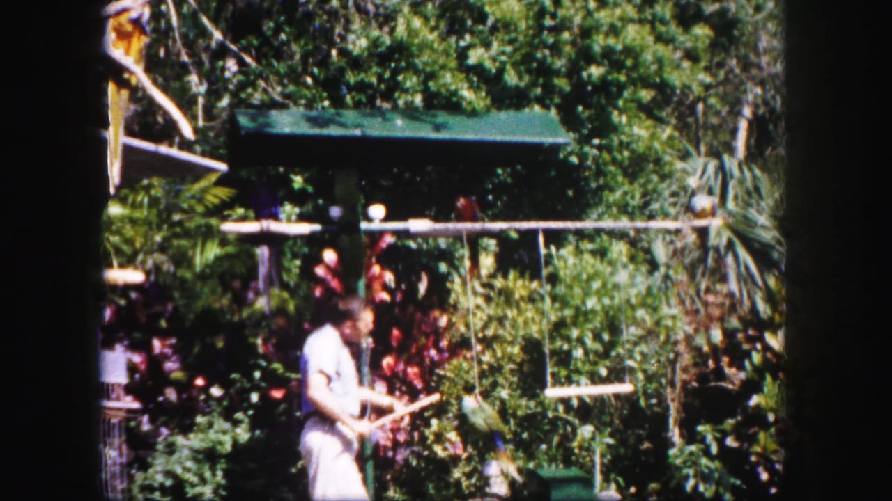 Man in light clothing stands in a tropical garden with parrots on perches and a swing.