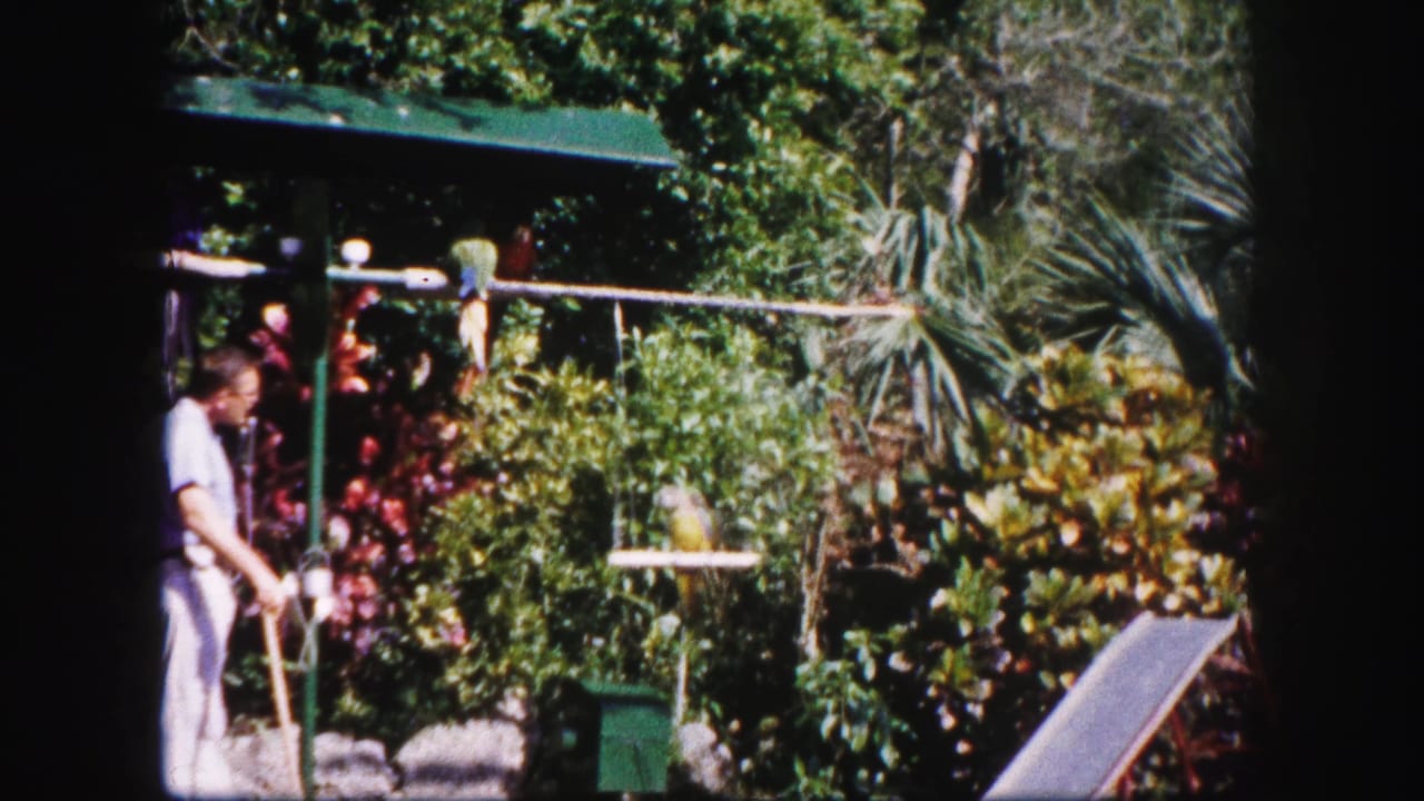 Man in pale clothing stands beside wooden bird perches in a dense tropical garden.