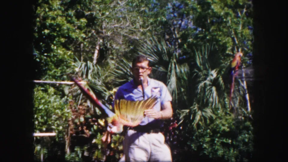 In the 1960 Tampa garden scene, the man holds a colorful parrot as its wings spread toward the camera.