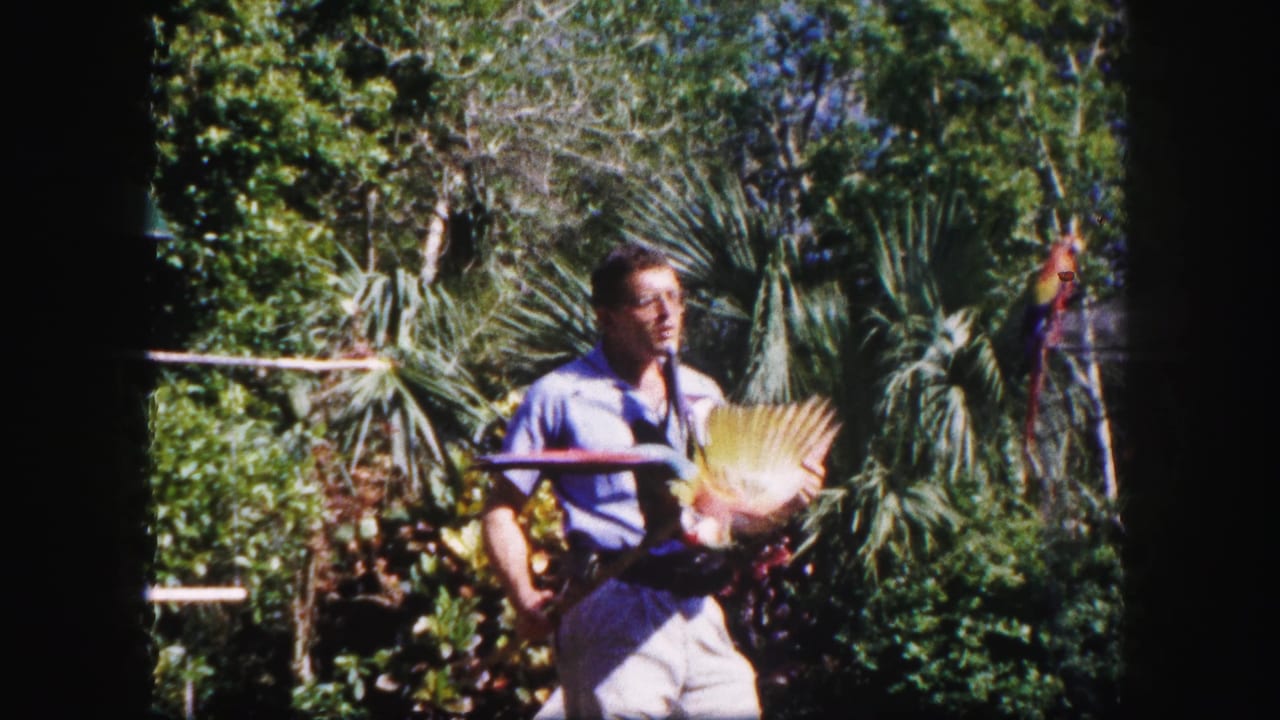 Man in a light shirt holds a colorful bird as its wing spreads in a tropical garden.